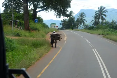 DSC_9682 (Large).JPG